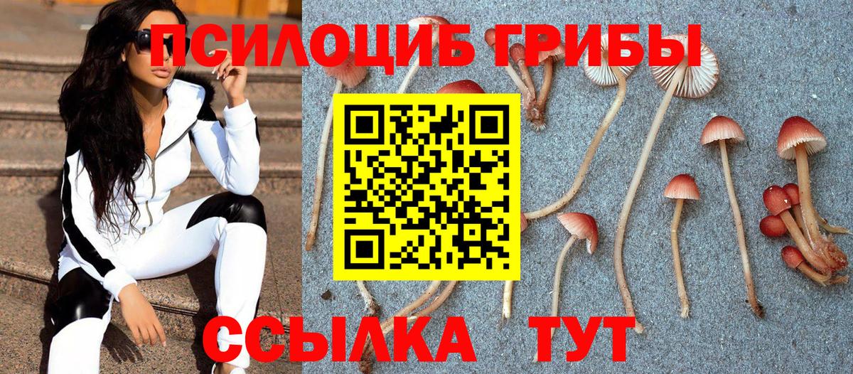 Псилоцибиновые грибы Magic Shrooms Нижний Новгород