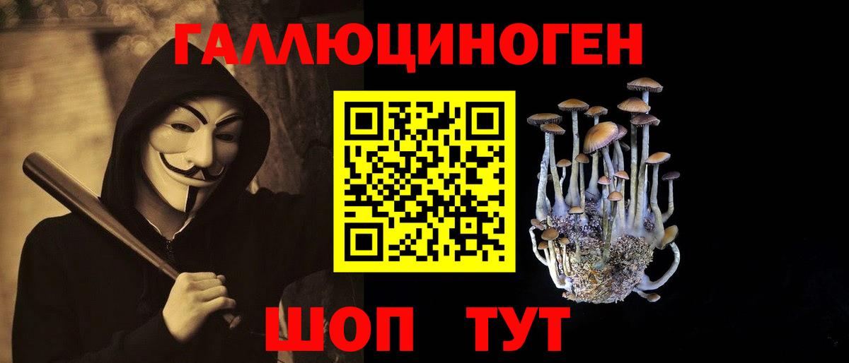 Нижний Новгород  Псилоцибиновые грибы прущие грибы  Вход с VPN 
